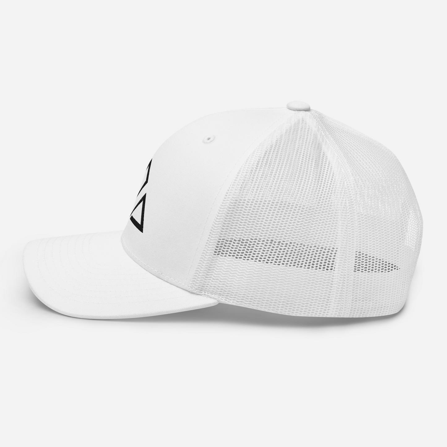 DM Logo Hat (white)